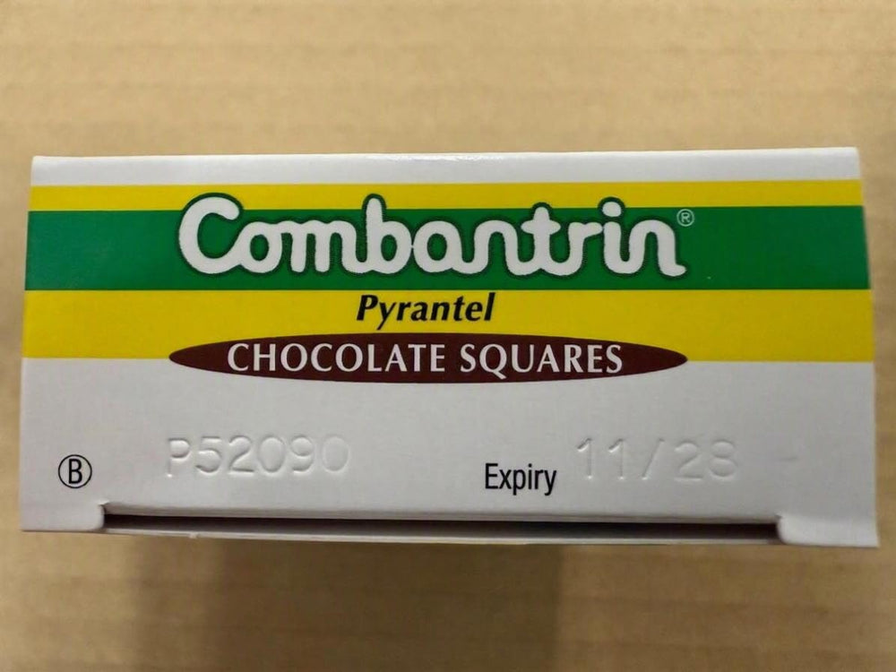Primer plano de un Combantrin Chocolate Square mostrando textura y brillo
