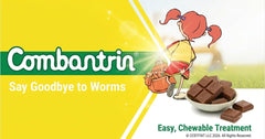 Combantrin Chocolate Squares en una lonchera listos para compartir