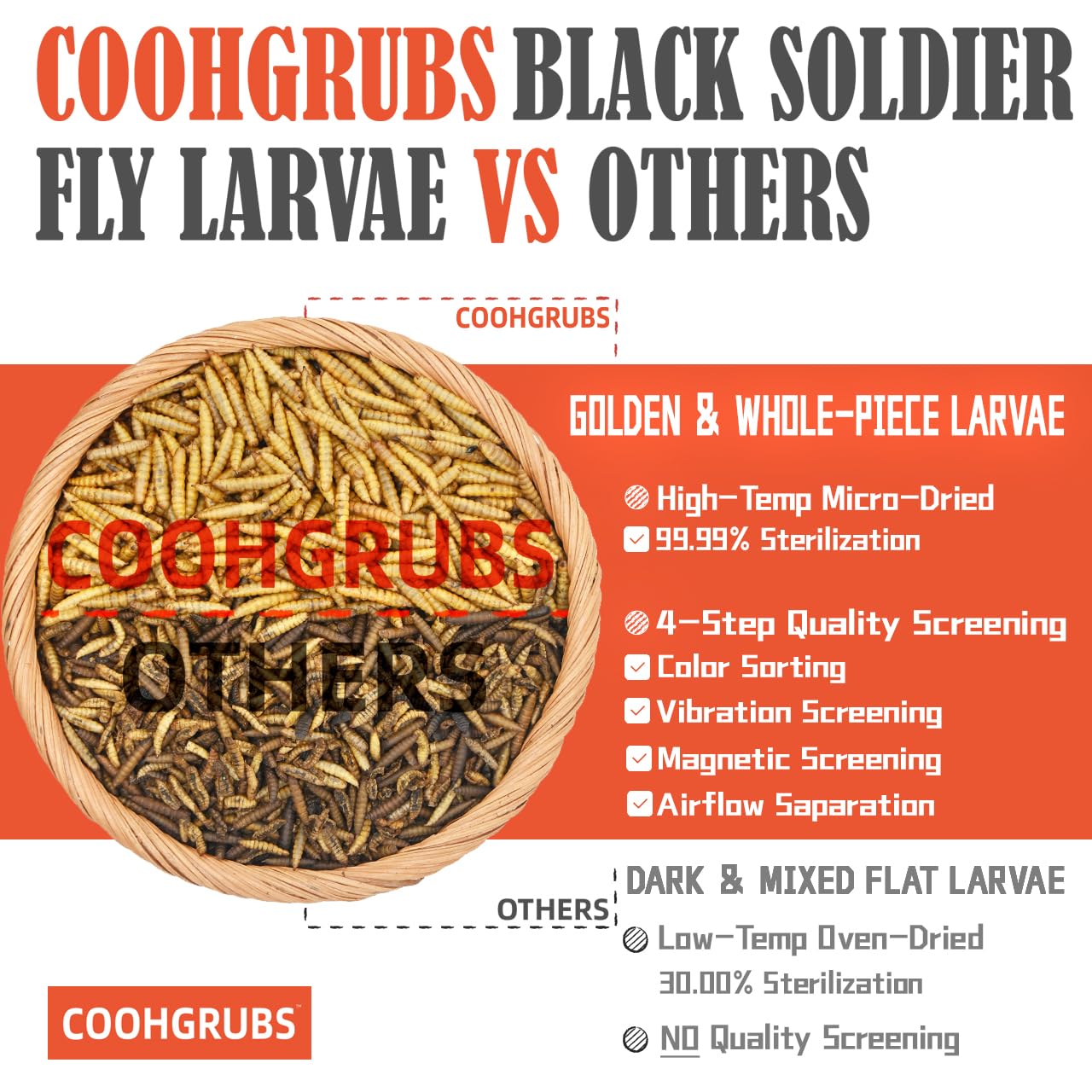 COOHGRUBS close-up of golden dried larvae revealing whole, high-protein texture