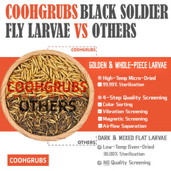 COOHGRUBS close-up of golden dried larvae revealing whole, high-protein texture