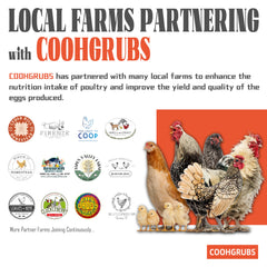 COOHGRUBS poured into hand as a treat illustrating convenient feeding