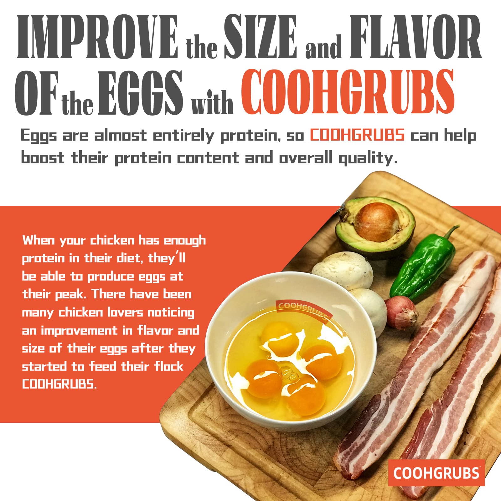 COOHGRUBS next to measuring spoon showing portion size and feeding guide