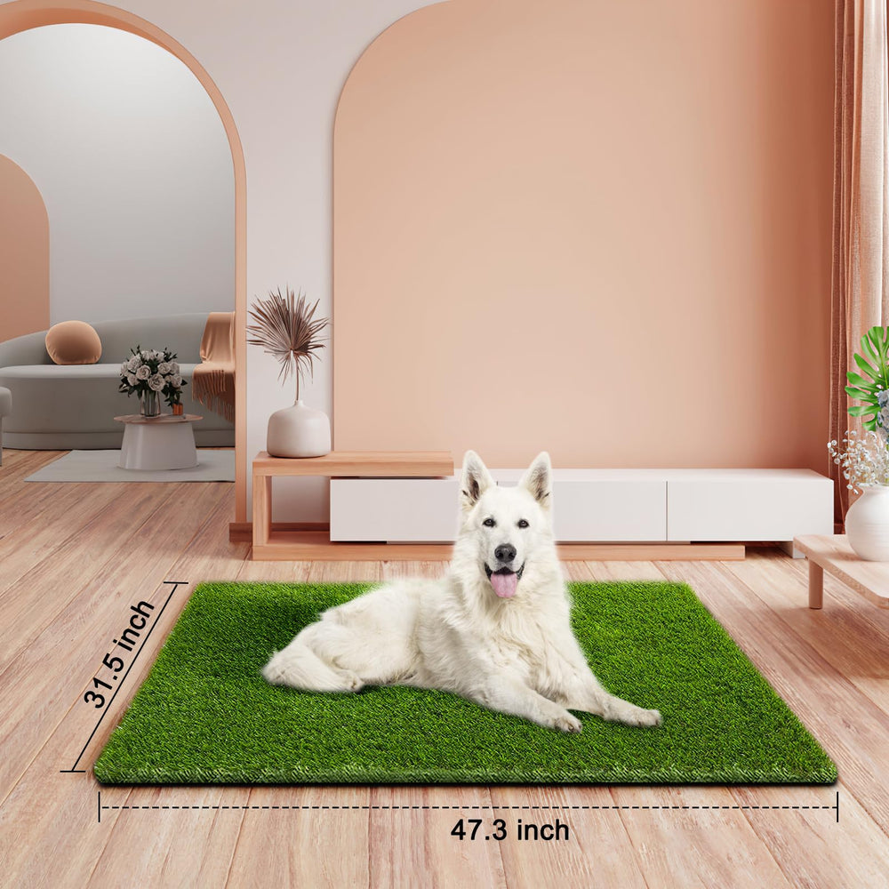 CooZero close-up of grass blades showing soft realistic texture for pet comfort
