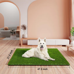CooZero close-up of grass blades showing soft realistic texture for pet comfort