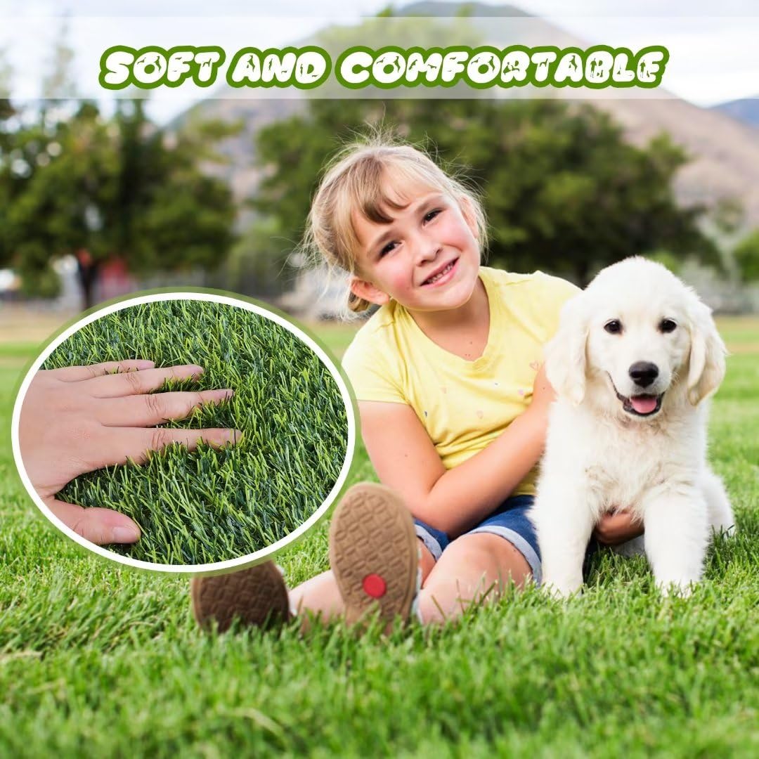CooZero mat in use with dog demonstrating fast-training surface and easy cleanup