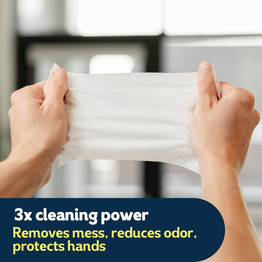 Cottonelle comparación de tamaño con una regla para ver la escala de cada toallita