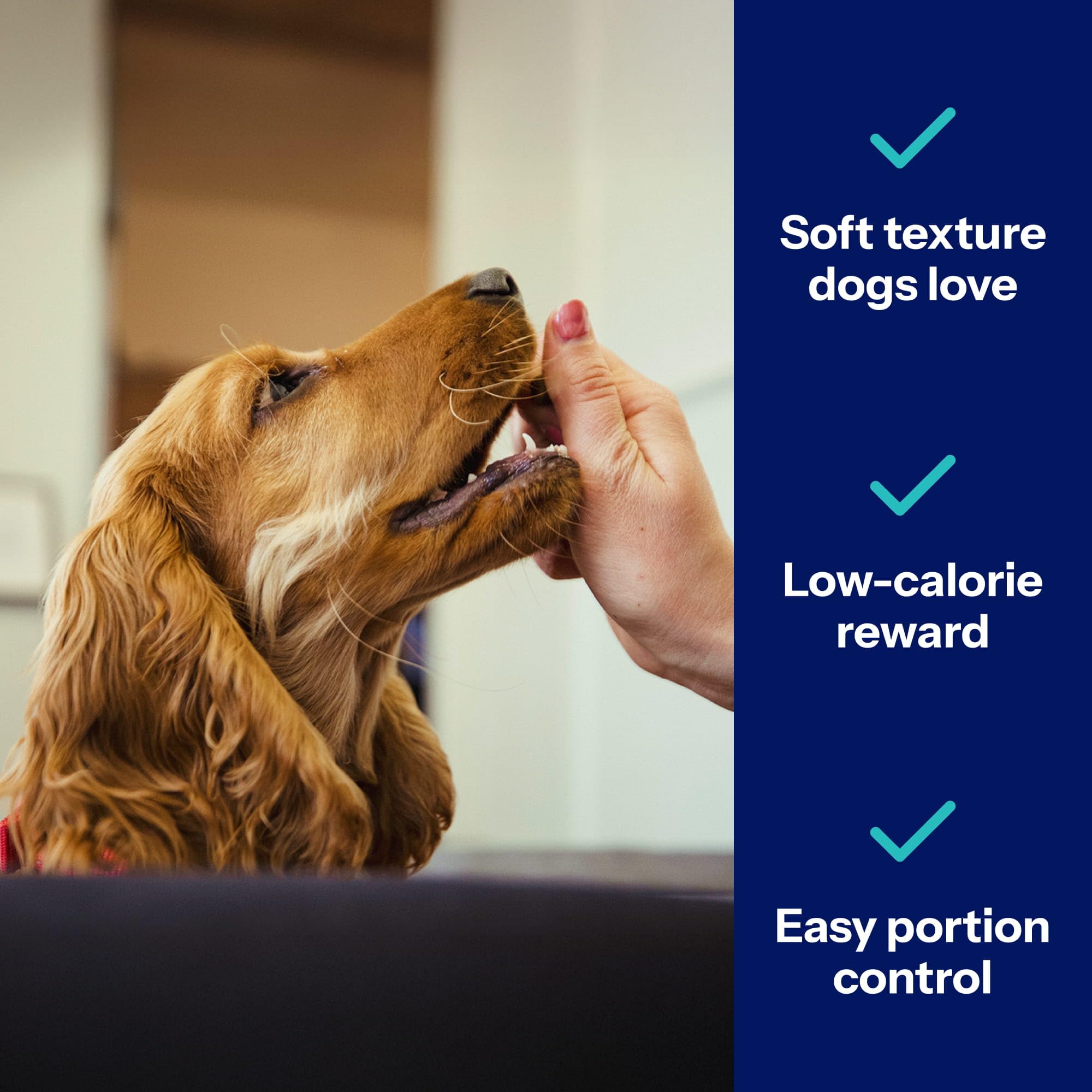 Covetrus Nutrisential perro recibiendo premio durante entrenamiento para reforzar comportamiento