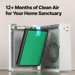Coway Airmega 150 filtros sostenidos en manos para fácil reemplazo
