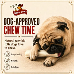 Cowdog Chews mano sosteniendo rollo para comparar tamaño 5-6 pulgadas