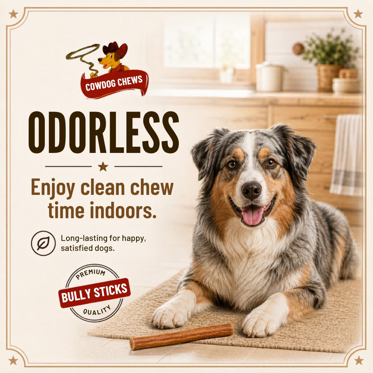 Cowdog Chews perro masticando feliz muestra entretenimento y limpieza dental
