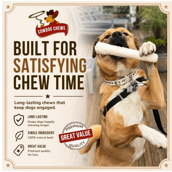 Cowdog Chews roll en mano para comparar tamaño y robustez