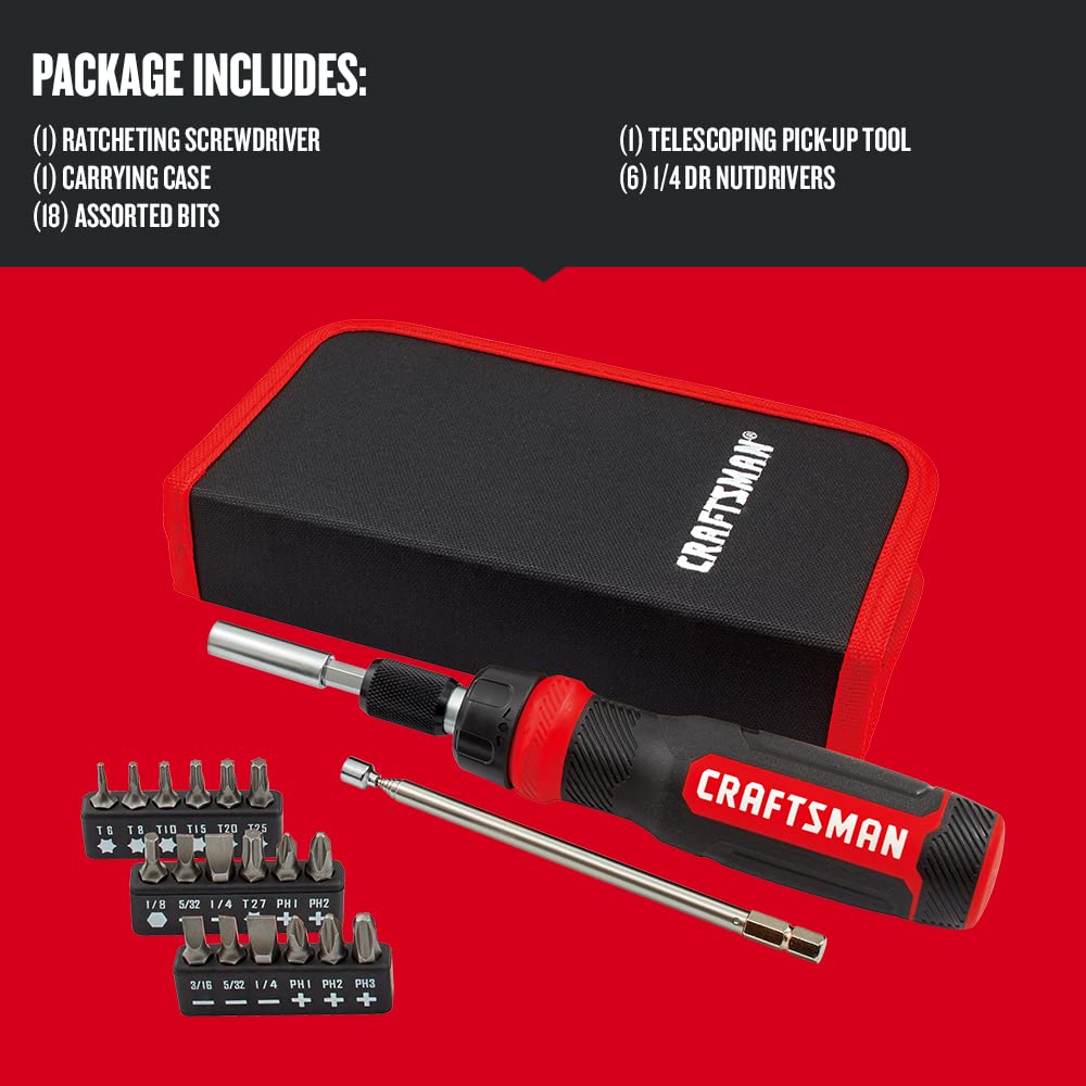 CRAFTSMAN conjunto de puntas organizadas que facilitan selección rápida