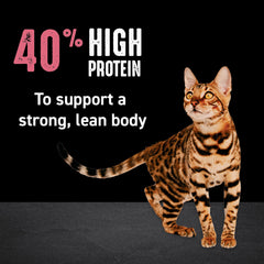 Crave label showing chicken and salmon ingredients and nutrient benefits