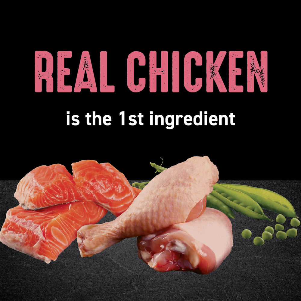 Close-up of Crave kibble texture highlighting protein-rich ingredients