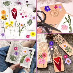 Cruzix primer plano de flores prensadas mostrando textura fina