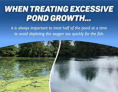 Crystal Blue being applied onto a thick algae mat demonstrating targeted contact and faster control