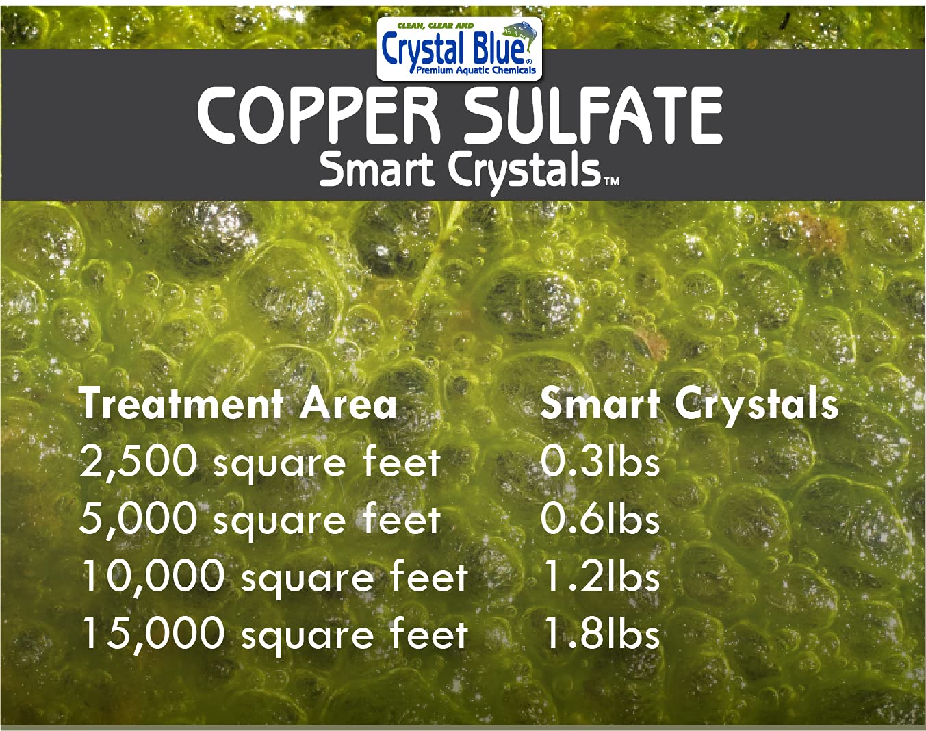 Crystal Blue pond before treatment showing dense filamentous algae to indicate treatment need