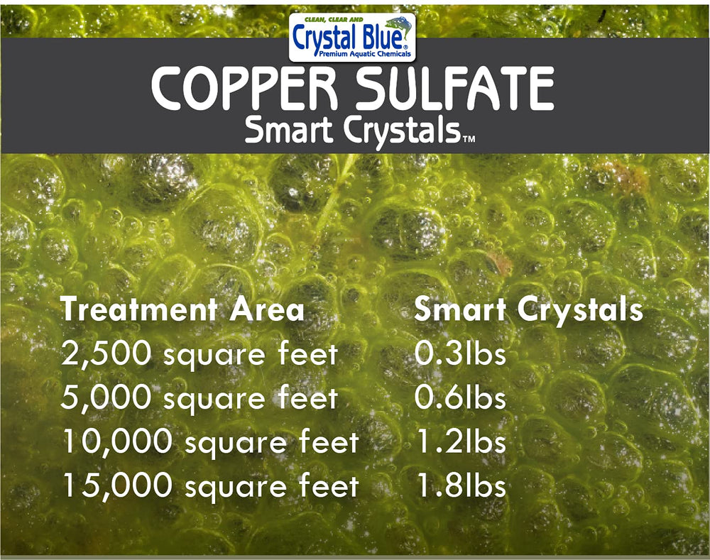 Crystal Blue pond before treatment showing dense filamentous algae to indicate treatment need