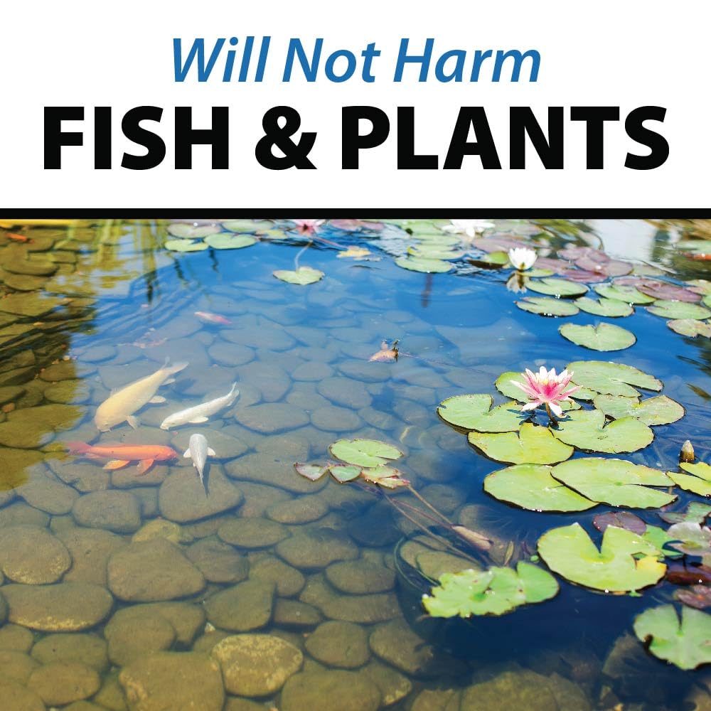 CrystalClear PondShock ball in koi pond demonstrating safe fish use