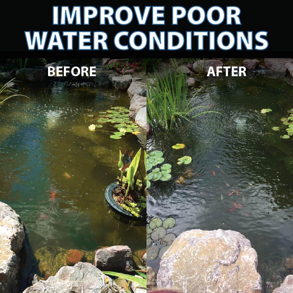CrystalClear storage guidance showing temperature-safe placement to preserve cultures