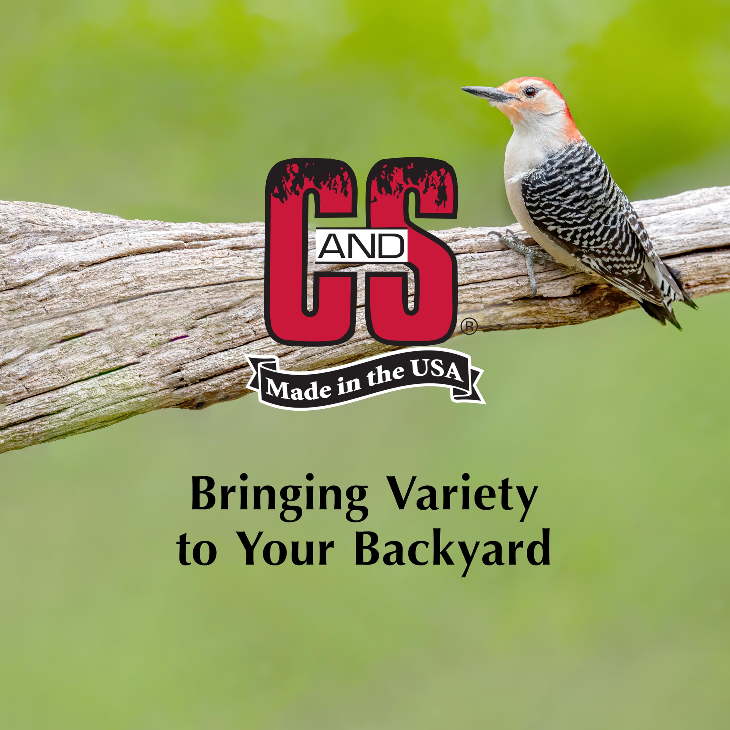 C&S primer plano de ingredientes naturales mejorando la dieta