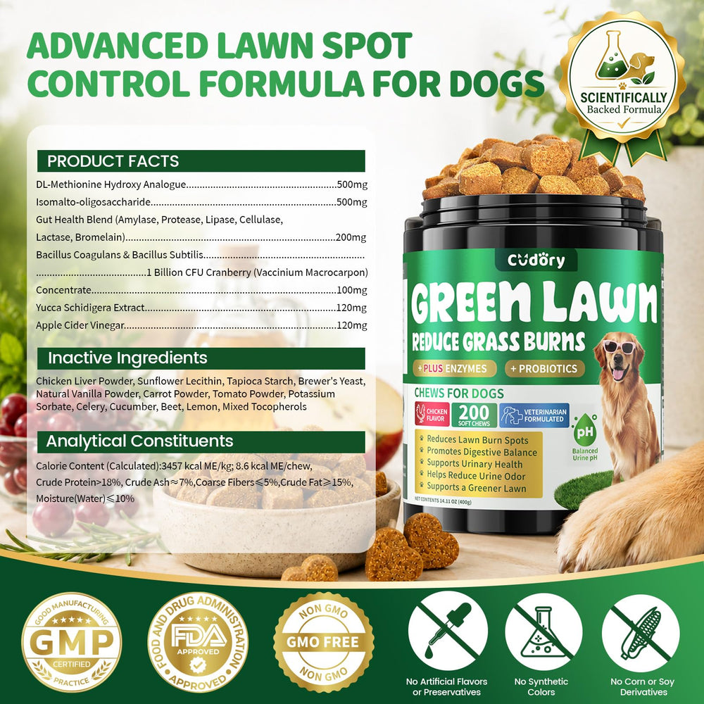 Cudory perro disfrutando masticable, mejora digestiva y palatabilidad