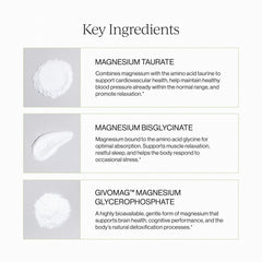 CYMBIOTIKA listado de ingredientes clave, transparencia y calidad
