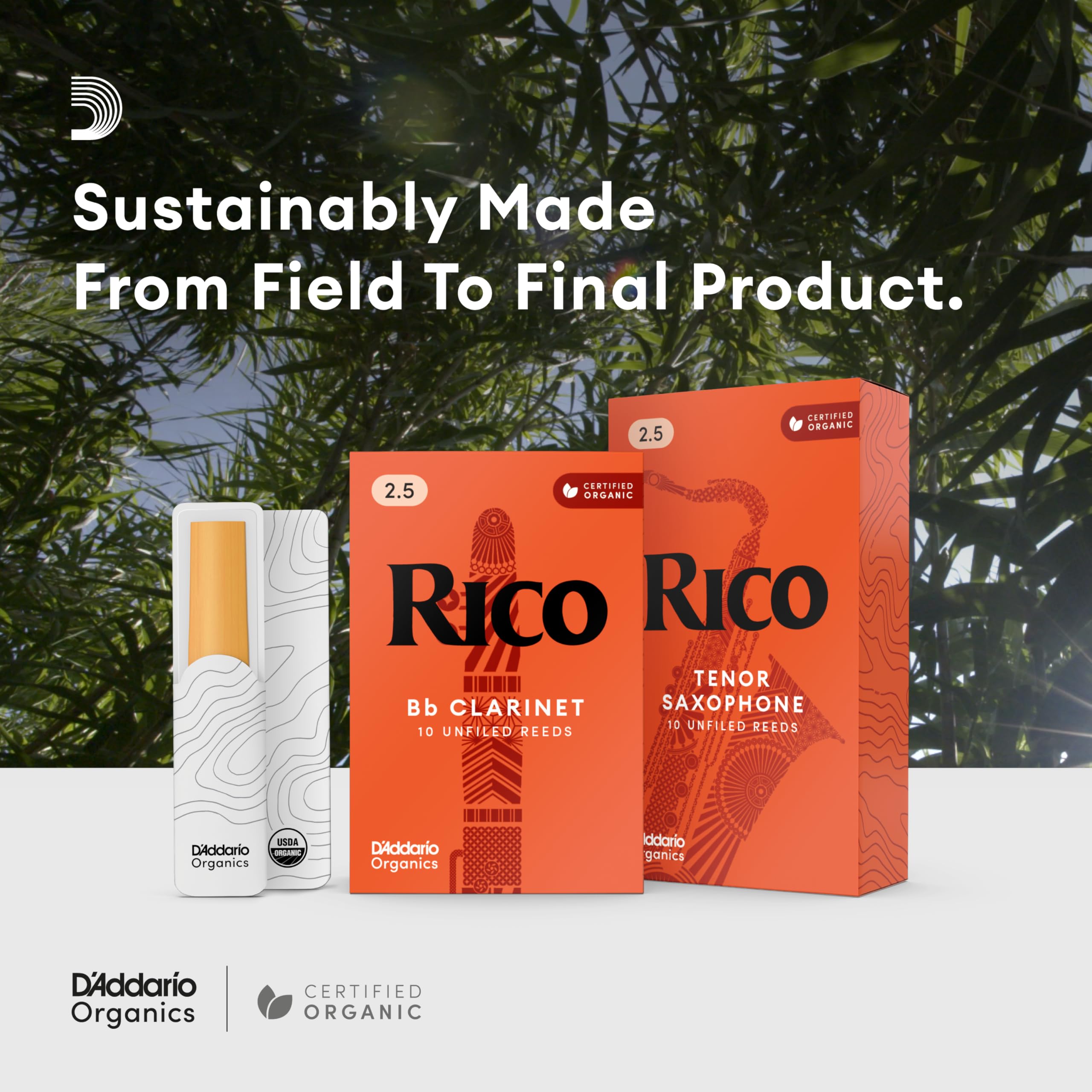 D'Addario Rico 10-pack beside a ruler illustrating size and quantity for classroom readiness