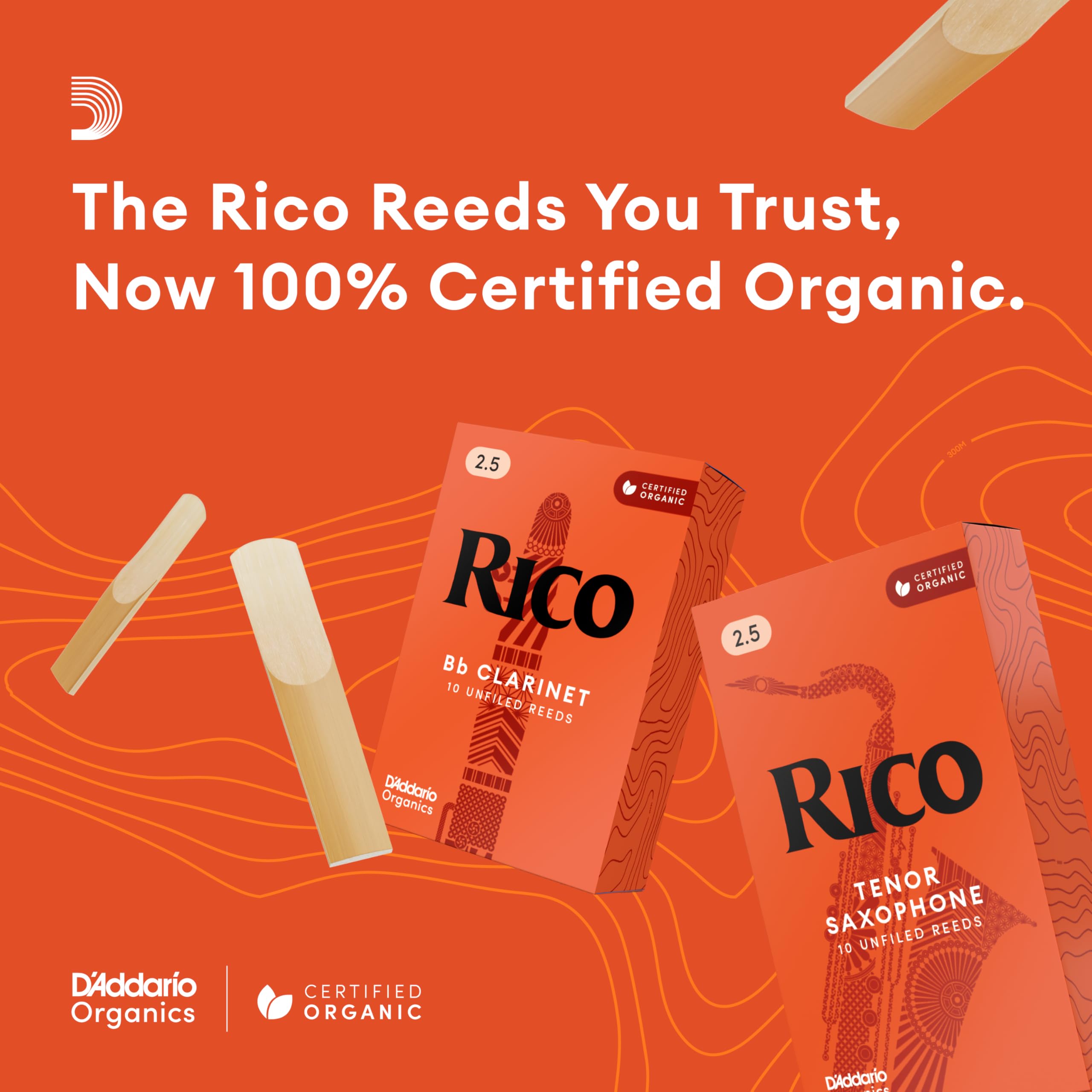 D'Addario Rico close-up of reed profile highlighting smooth cut and consistent shape for playability