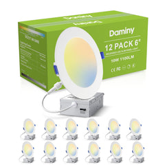 DAMINY vista frontal del pack de 12 con ahorro energético