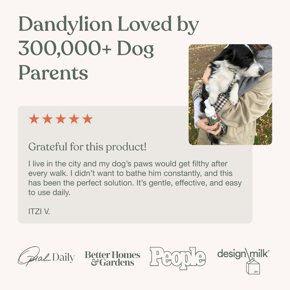 Dandylion envase con refill, sistema recargable y económico