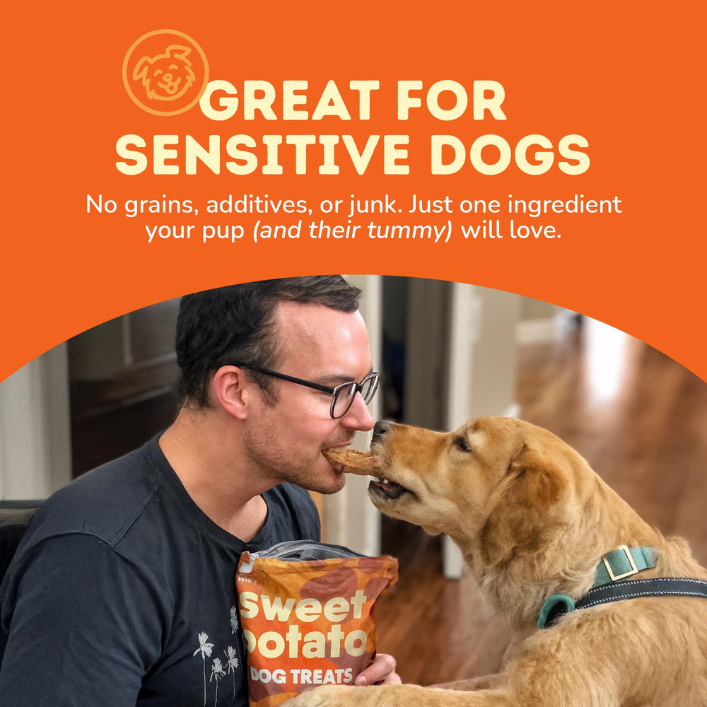 Davie's Naturals perro masticando premio al aire libre, entretiene sin rawhide