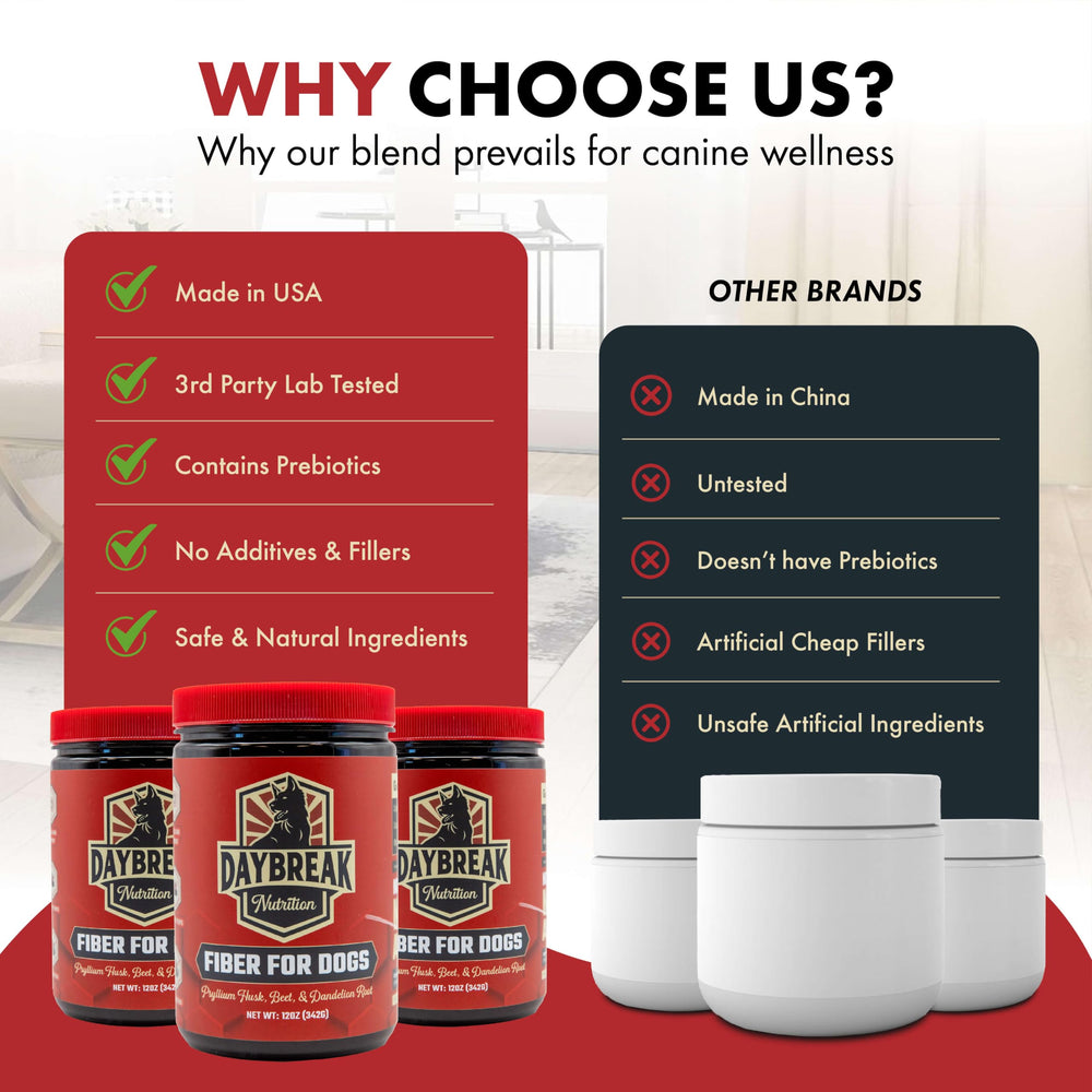 Daybreak Nutrition primeros planos de linaza y psyllium para calidad visible