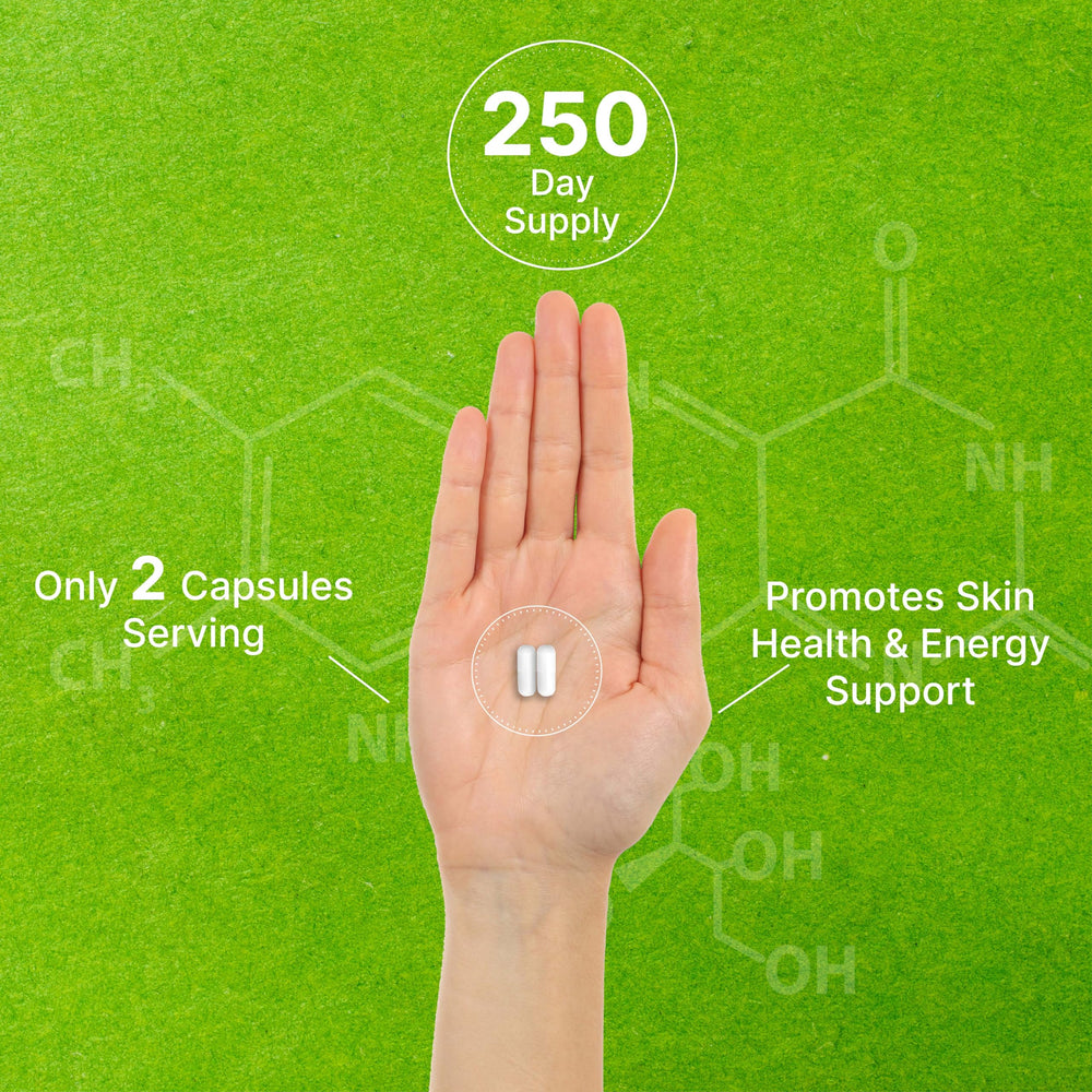 DEAL SUPPLEMENT cápsulas extendidas junto a regla para comparar escala