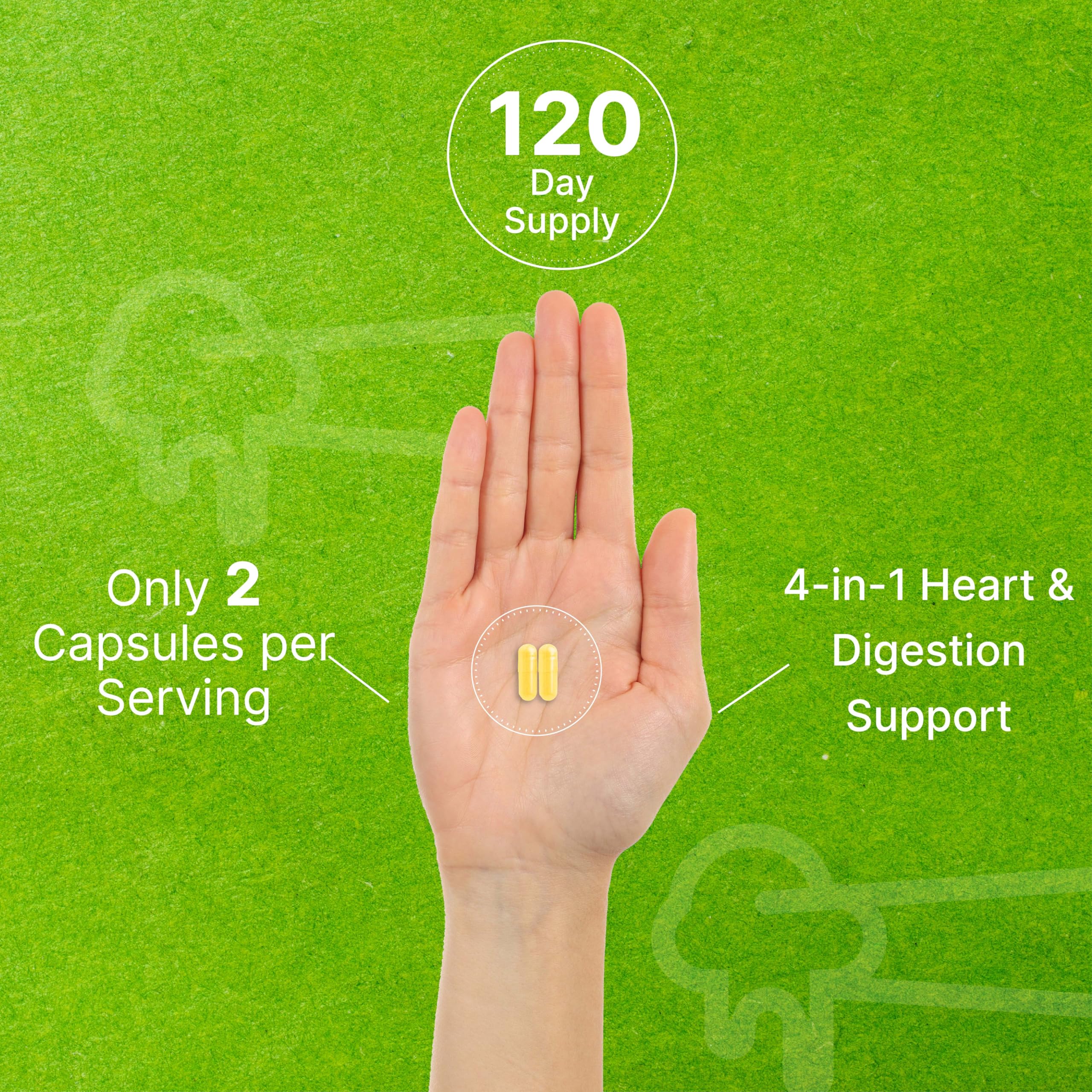 DEAL SUPPLEMENT etiqueta con ingredientes y dosis clara y transparente