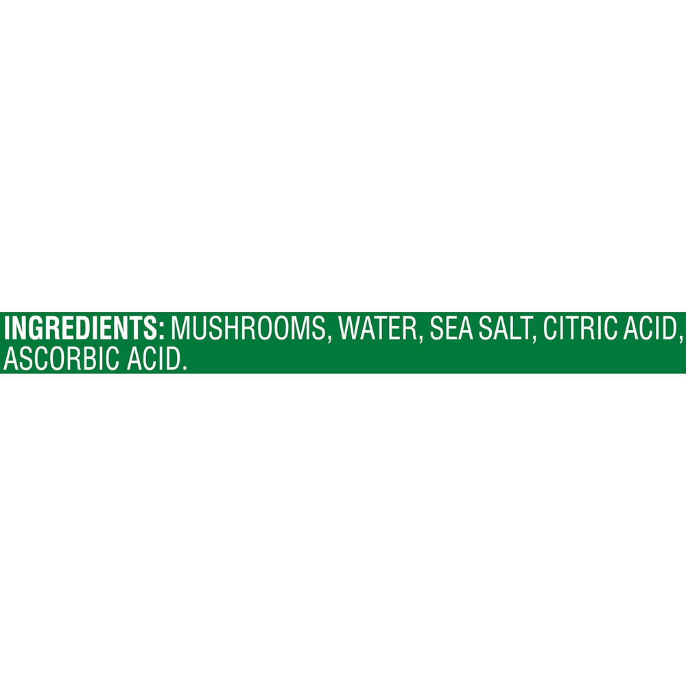 Del Monte primer plano de trozos y tallos, textura lista para cocinar