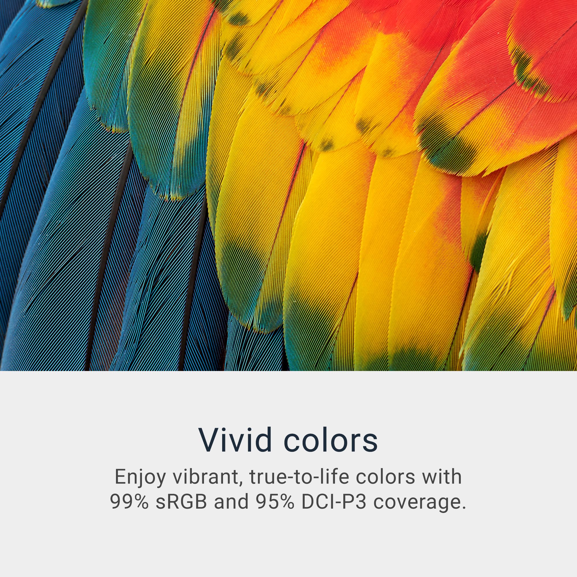 Dell S3425DW curvatura en uso para experiencia panorámica envolvente