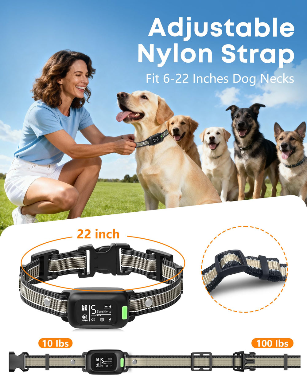 Delupet linterna LED encendida útil para localizar perro y entrenamiento nocturno