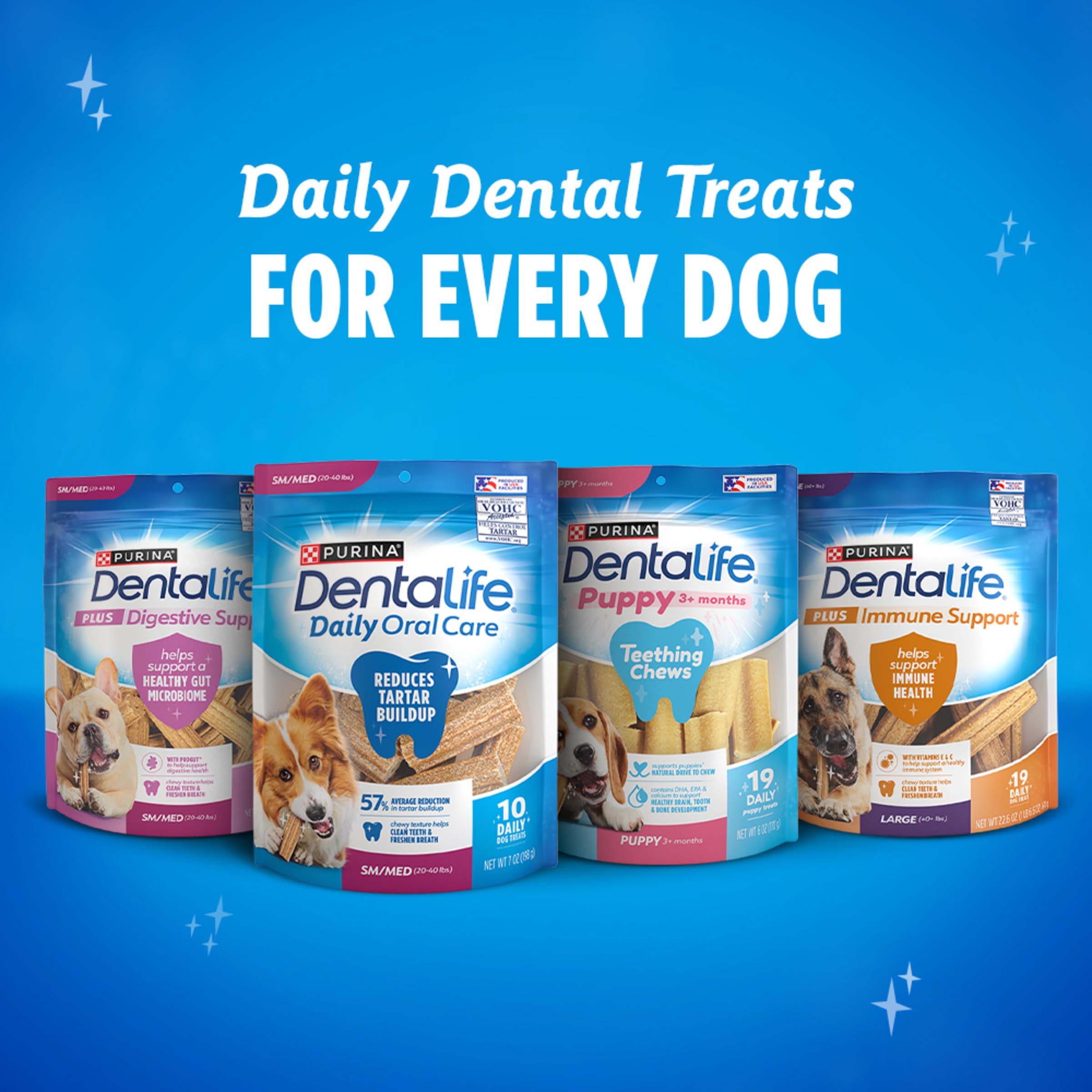 DentaLife Purina dueño ofreciendo golosina en cocina para entrenamiento