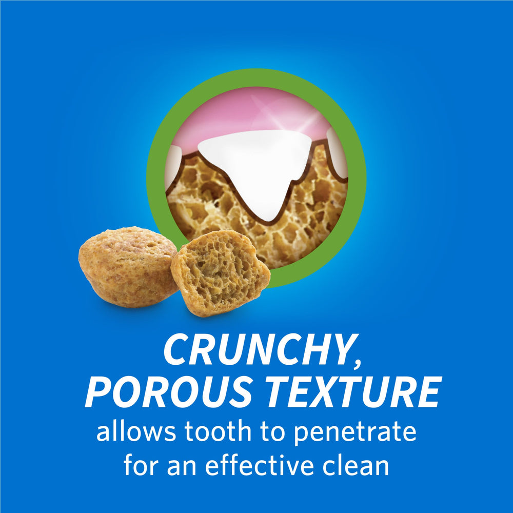 Dentalife Purina textura crujiente porosa para fricción dental efectiva