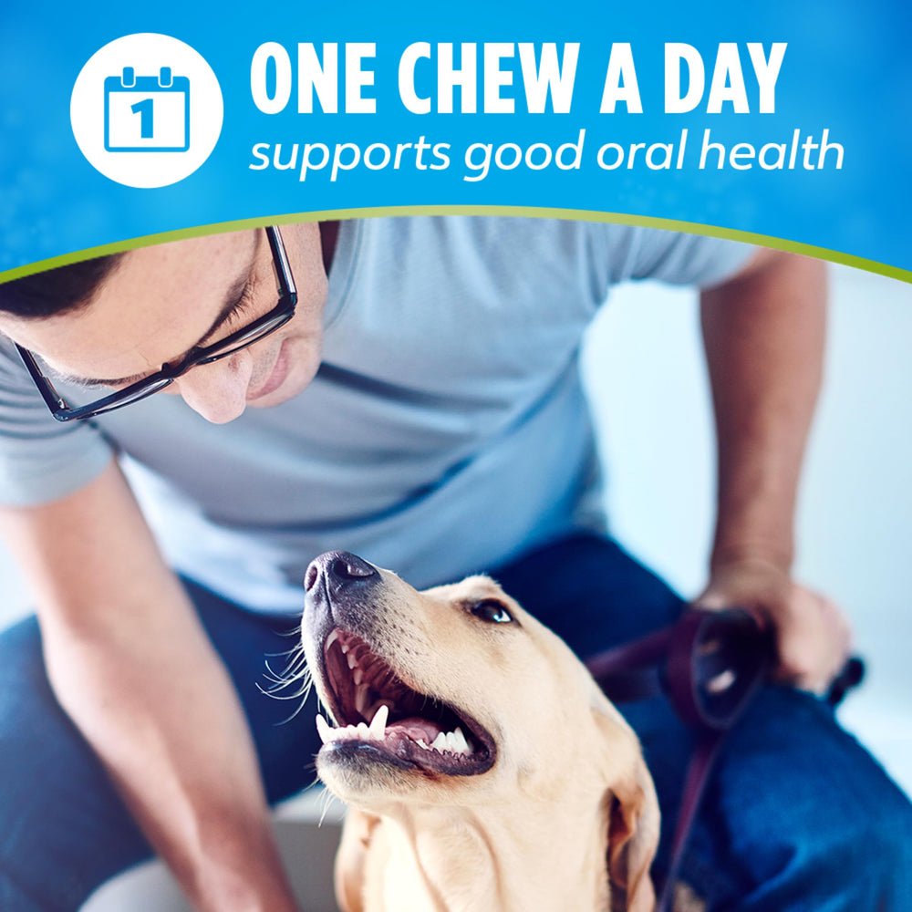 Dentalife Purina etiqueta con ingredientes y sello NASC, garantía de calidad