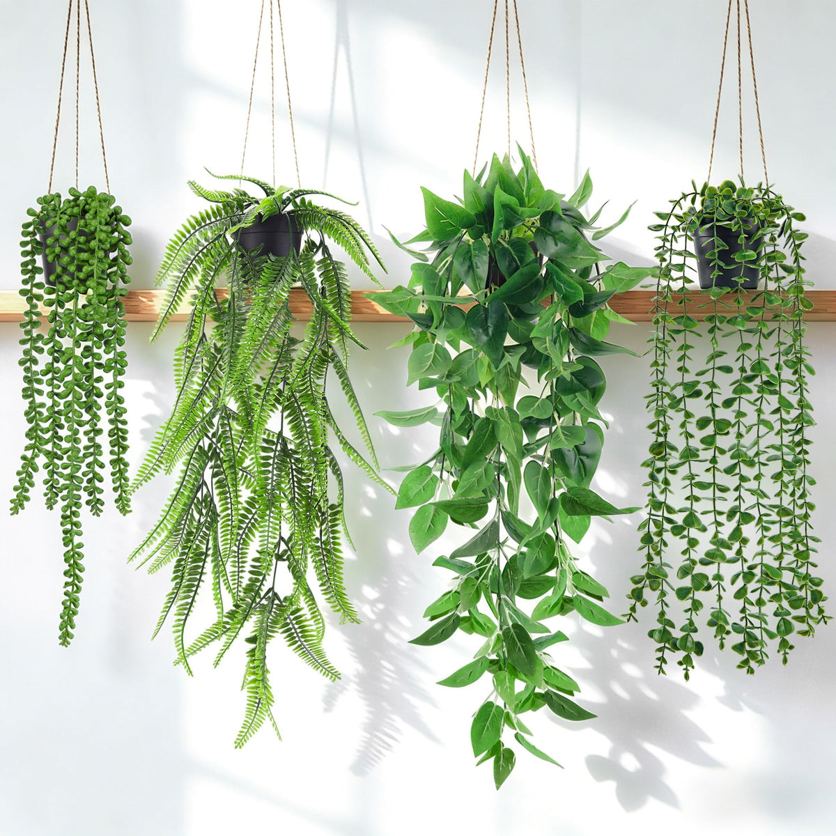 Der Rose vista frontal del conjunto de cuatro plantas colgantes, aporta frescura inmediata