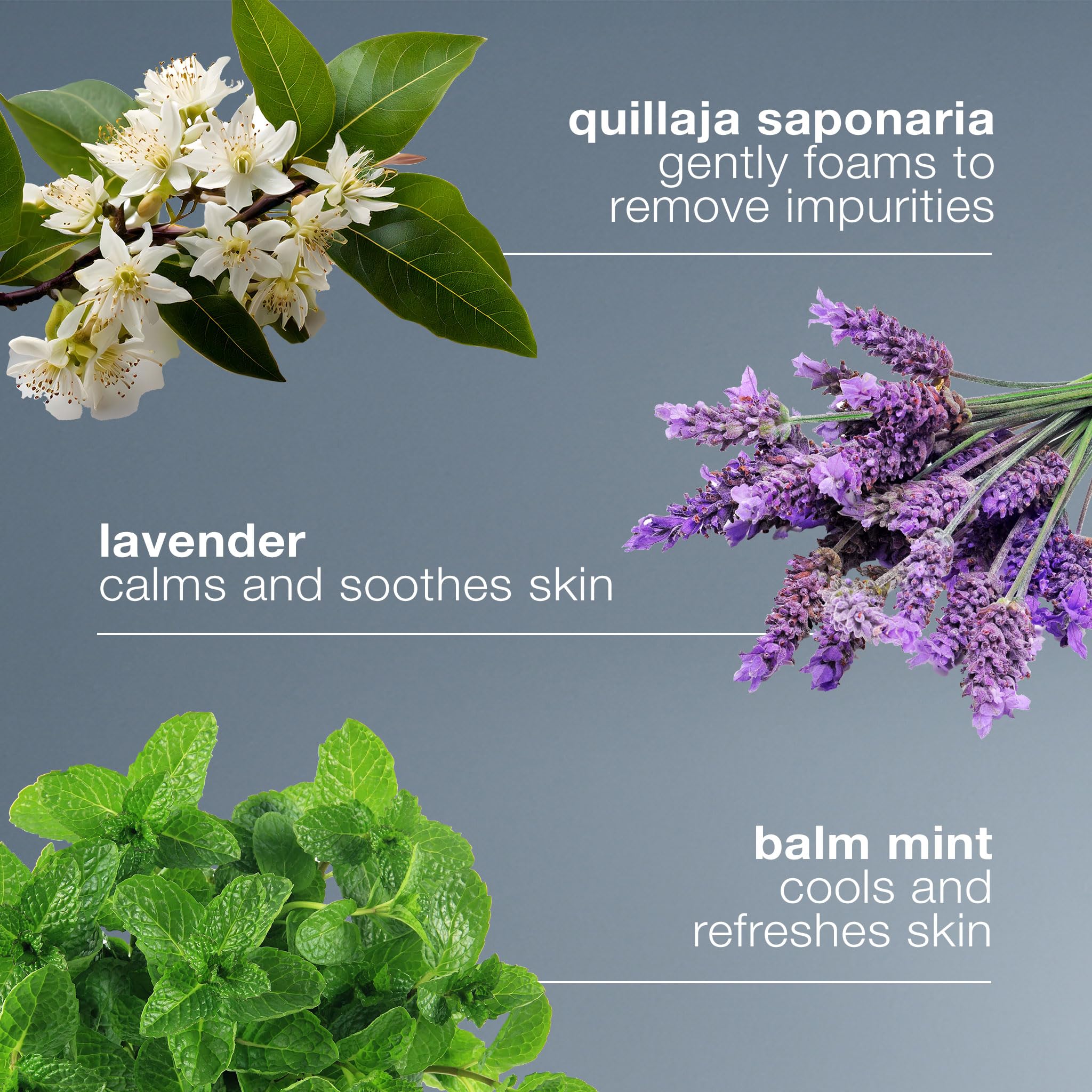 Dermalogica etiqueta de ingredientes con enfoque en extracts calmantes