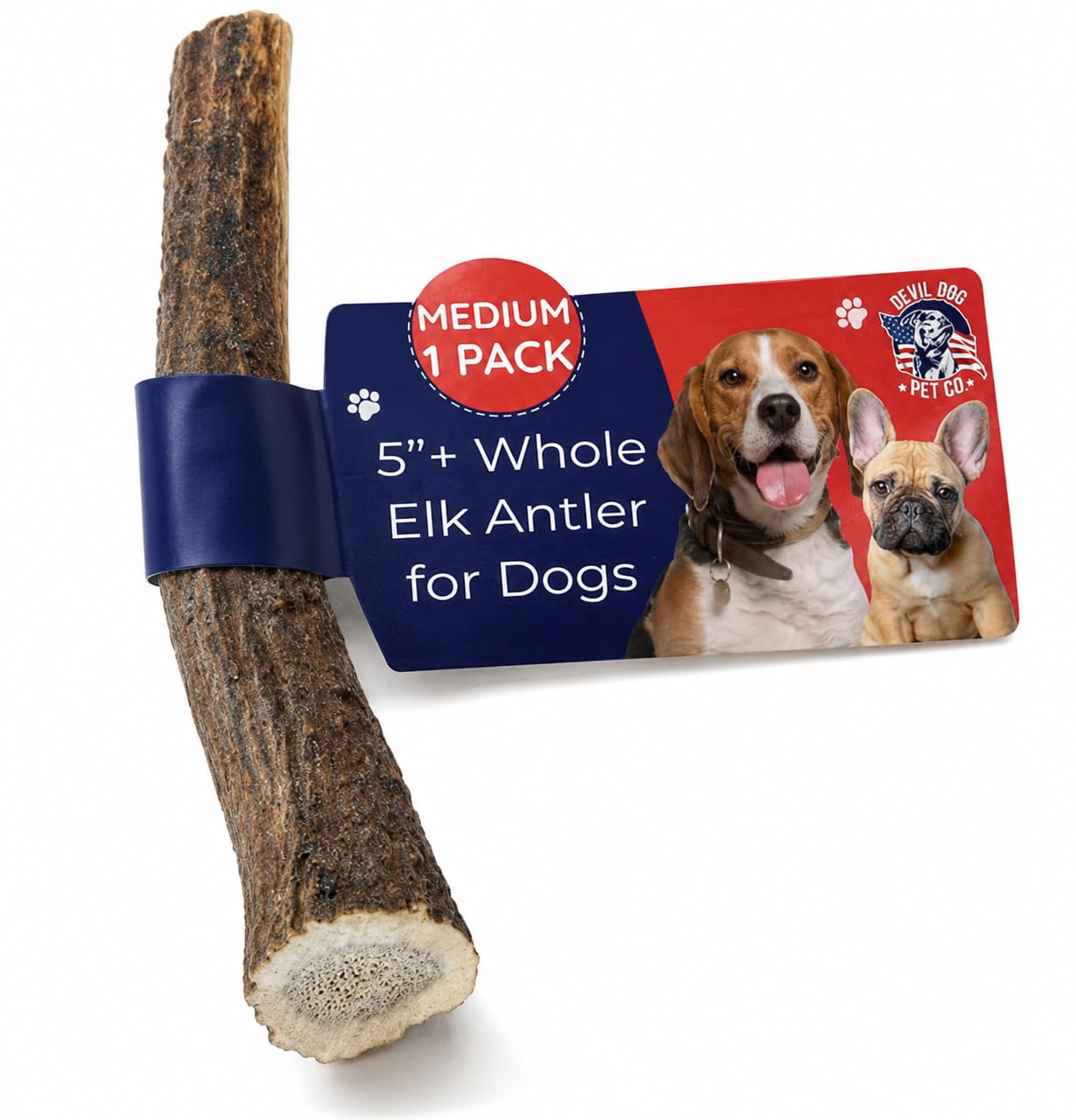 Devil Dog Pet Co asta frontal mostrando forma y resistencia