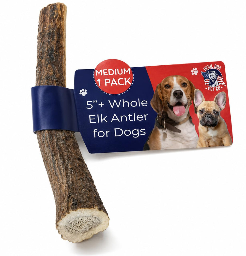Devil Dog Pet Co asta frontal mostrando forma y resistencia