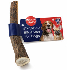Devil Dog Pet Co asta frontal mostrando forma y resistencia
