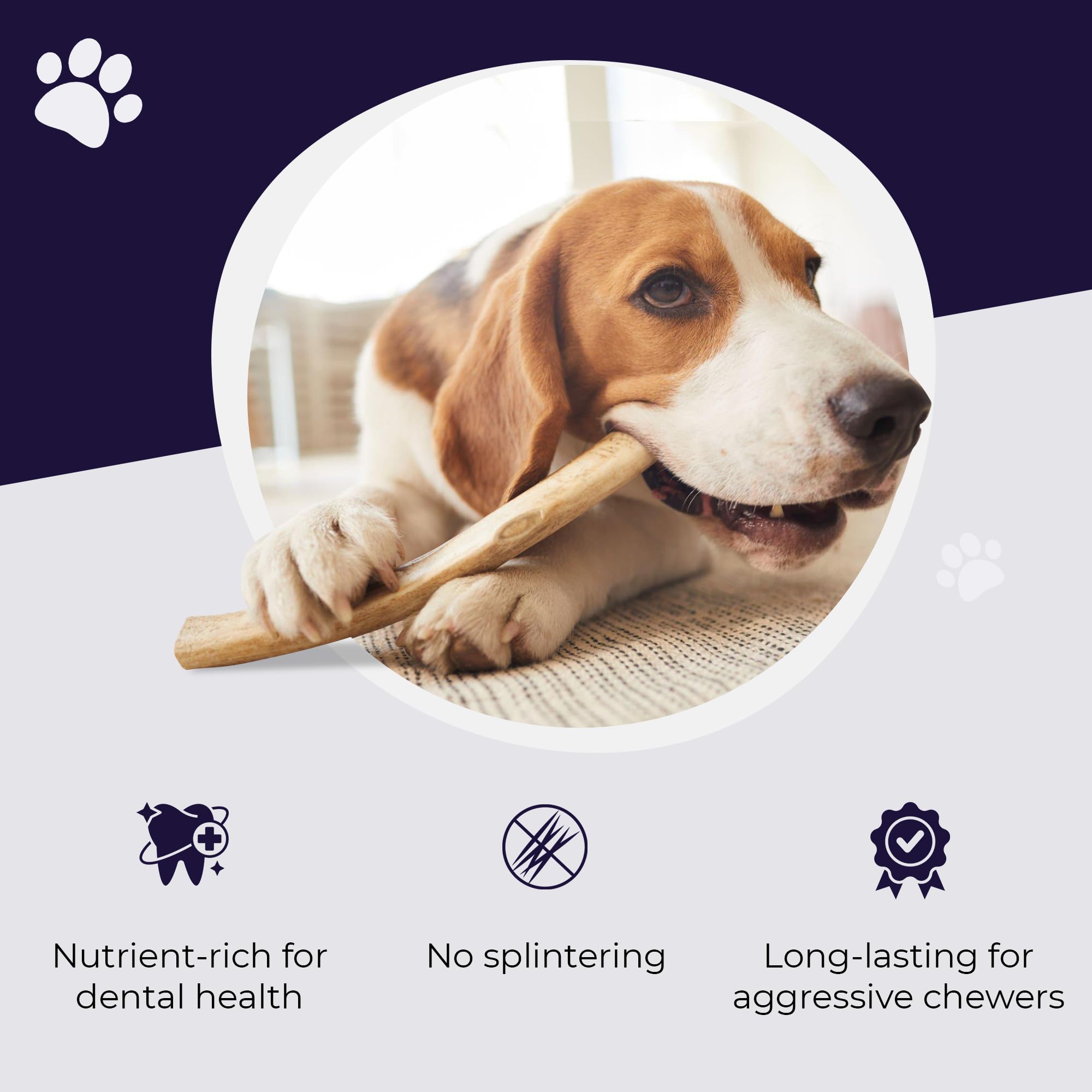 Devil Dog Pet Co comparación de tamaño para elegir talla adecuada