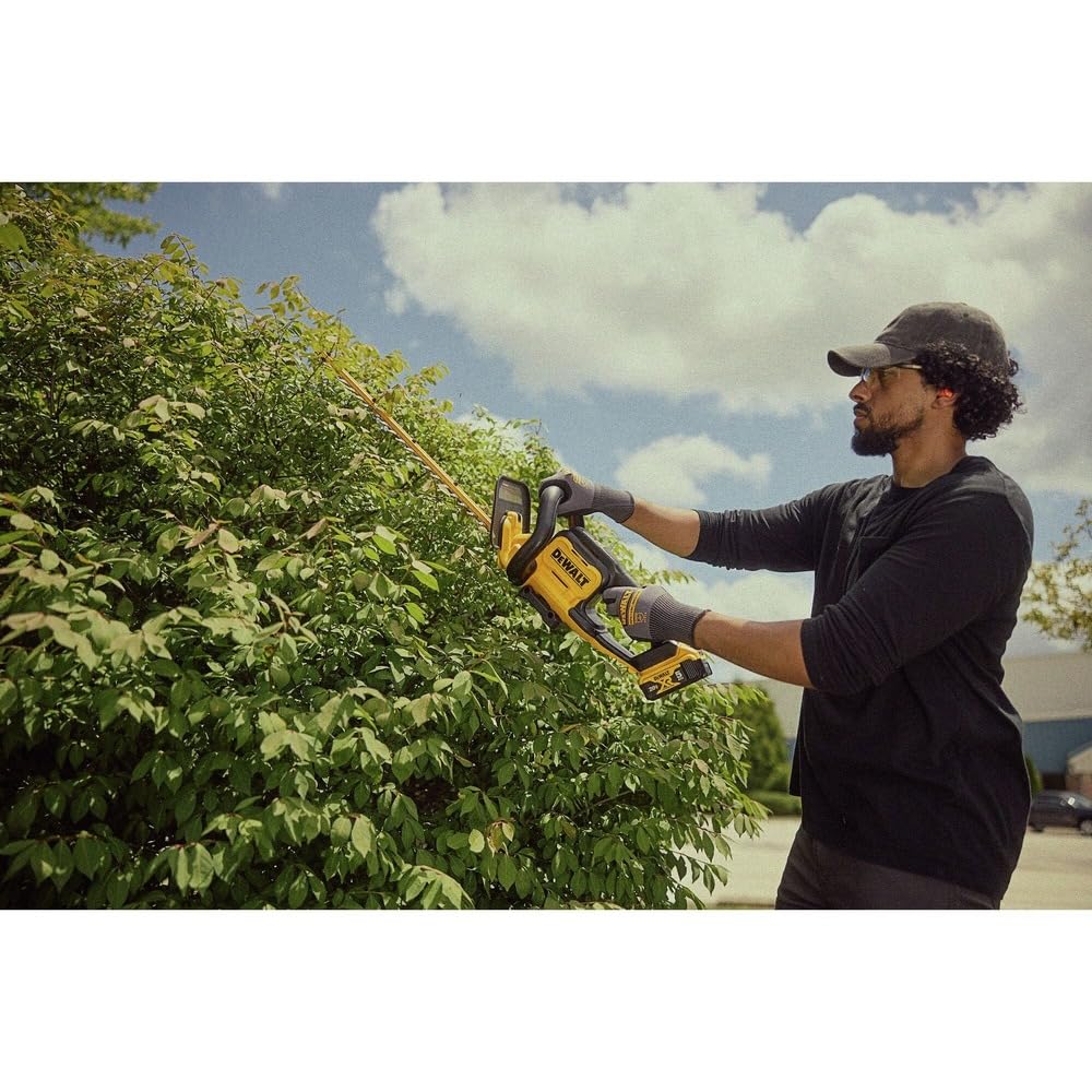 DEWALT packaging and spec label showing model info for buyer assurance