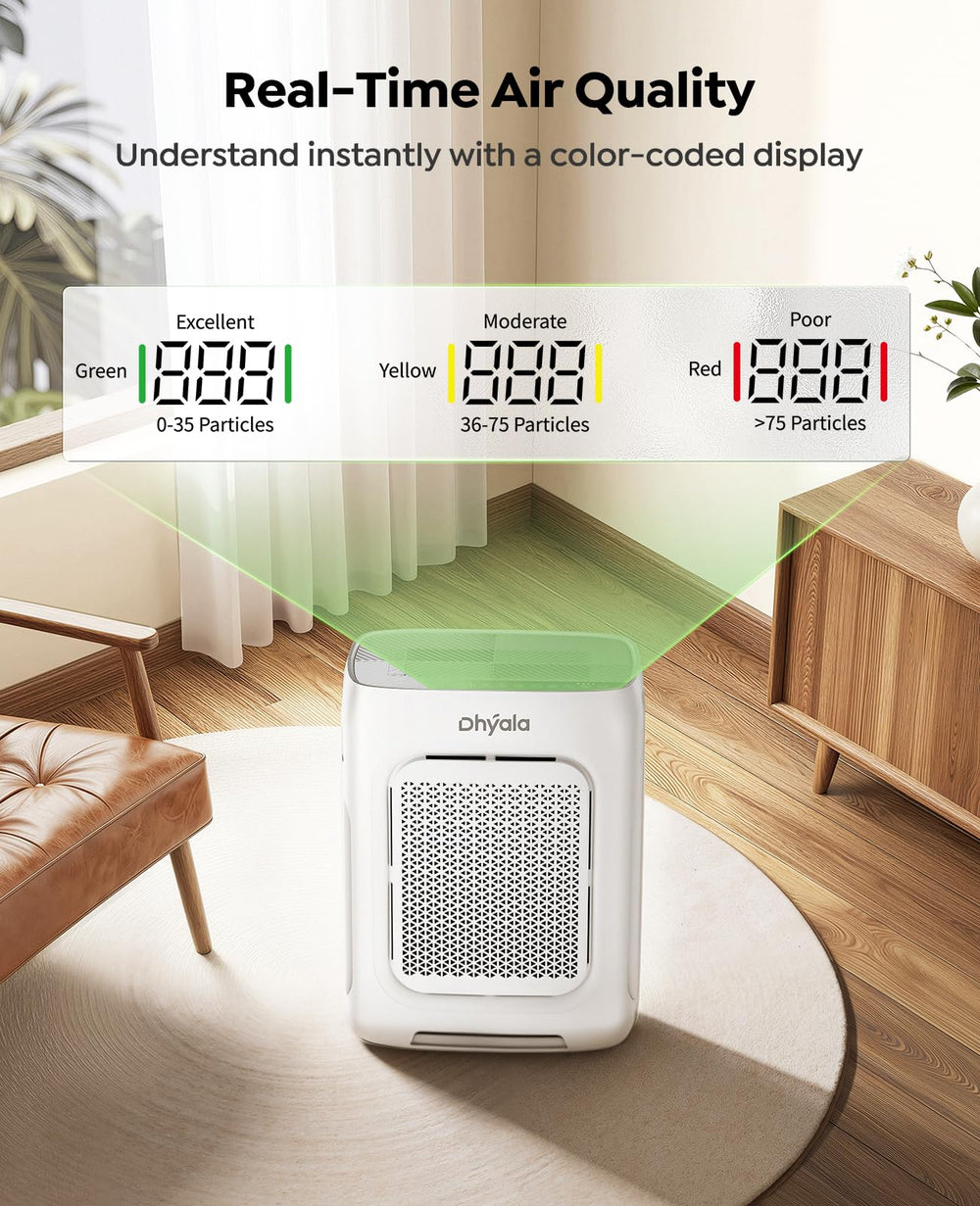 Dhyala in living room beside sofa showing size and coverage for large spaces