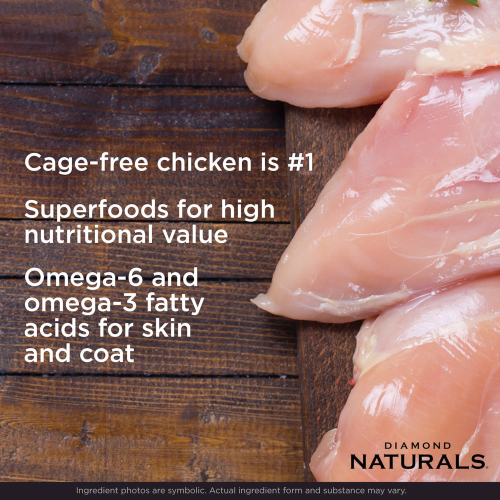Diamond Naturals textura y ingredientes con pollo real beneficios nutricionales